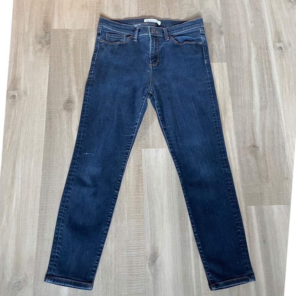 Banana Republic Premium Denim High-Rise Straight Leg Jeans 29P